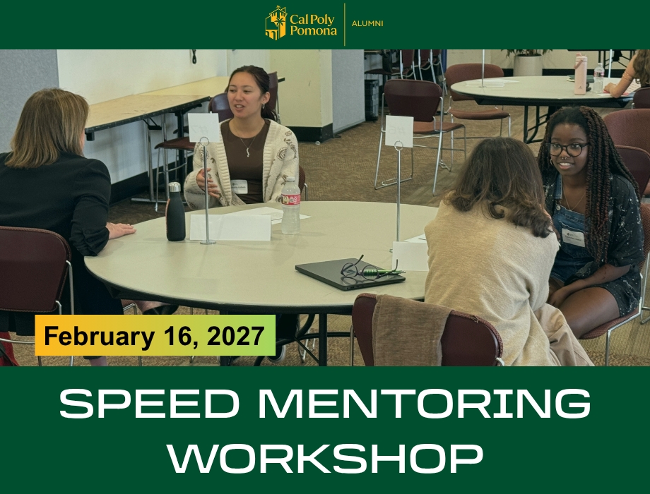 speed mentoring workshop february 16, 2027