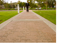 Two people looking at documents