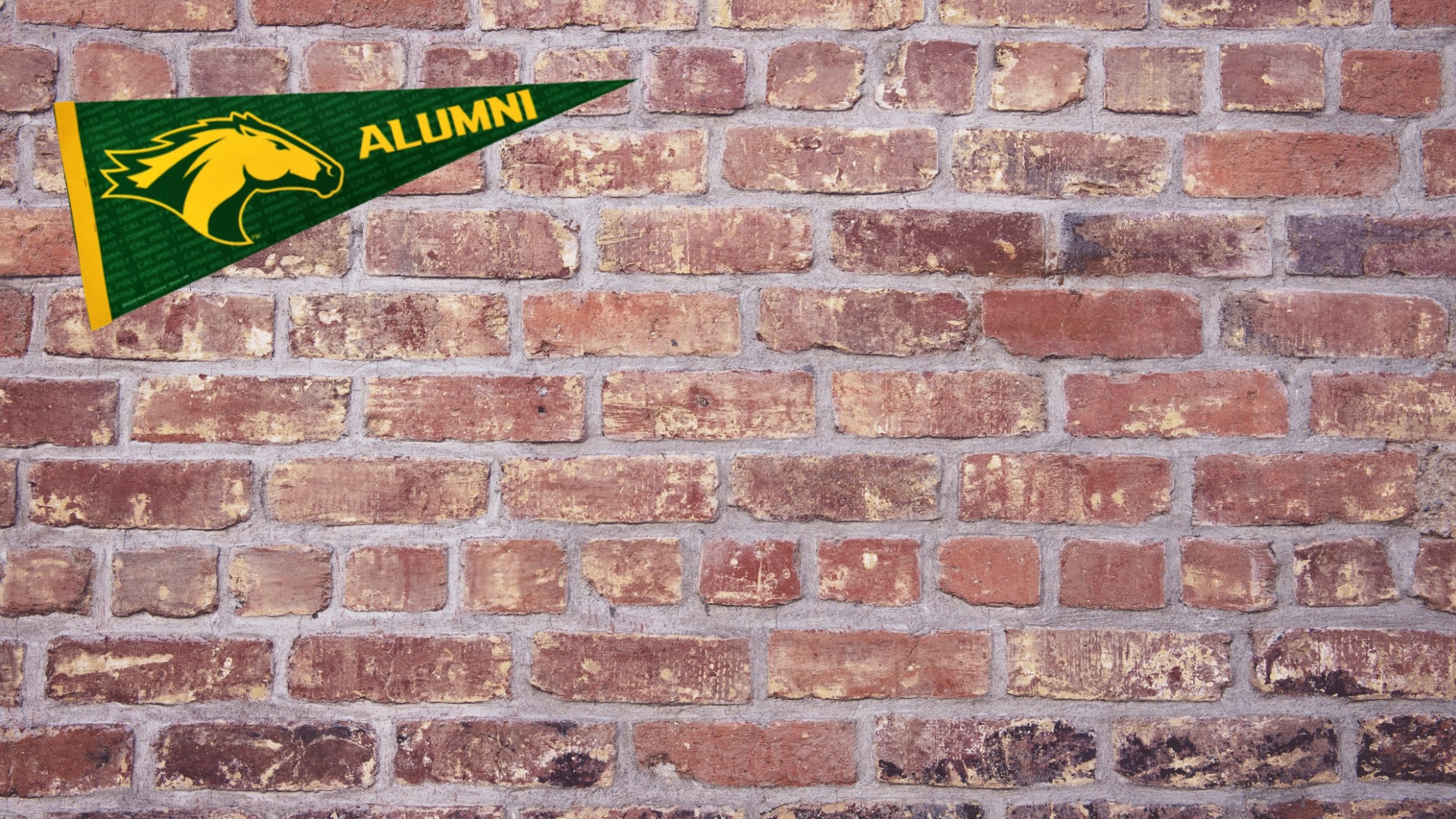 bricks with cpp alumni pennant