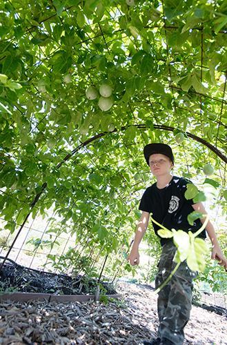 A boy is walking around AGRIscapes