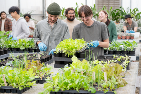 agriculture students tending plants