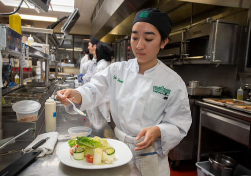 student chef preparing a meal  