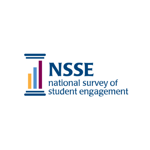nsse logo 