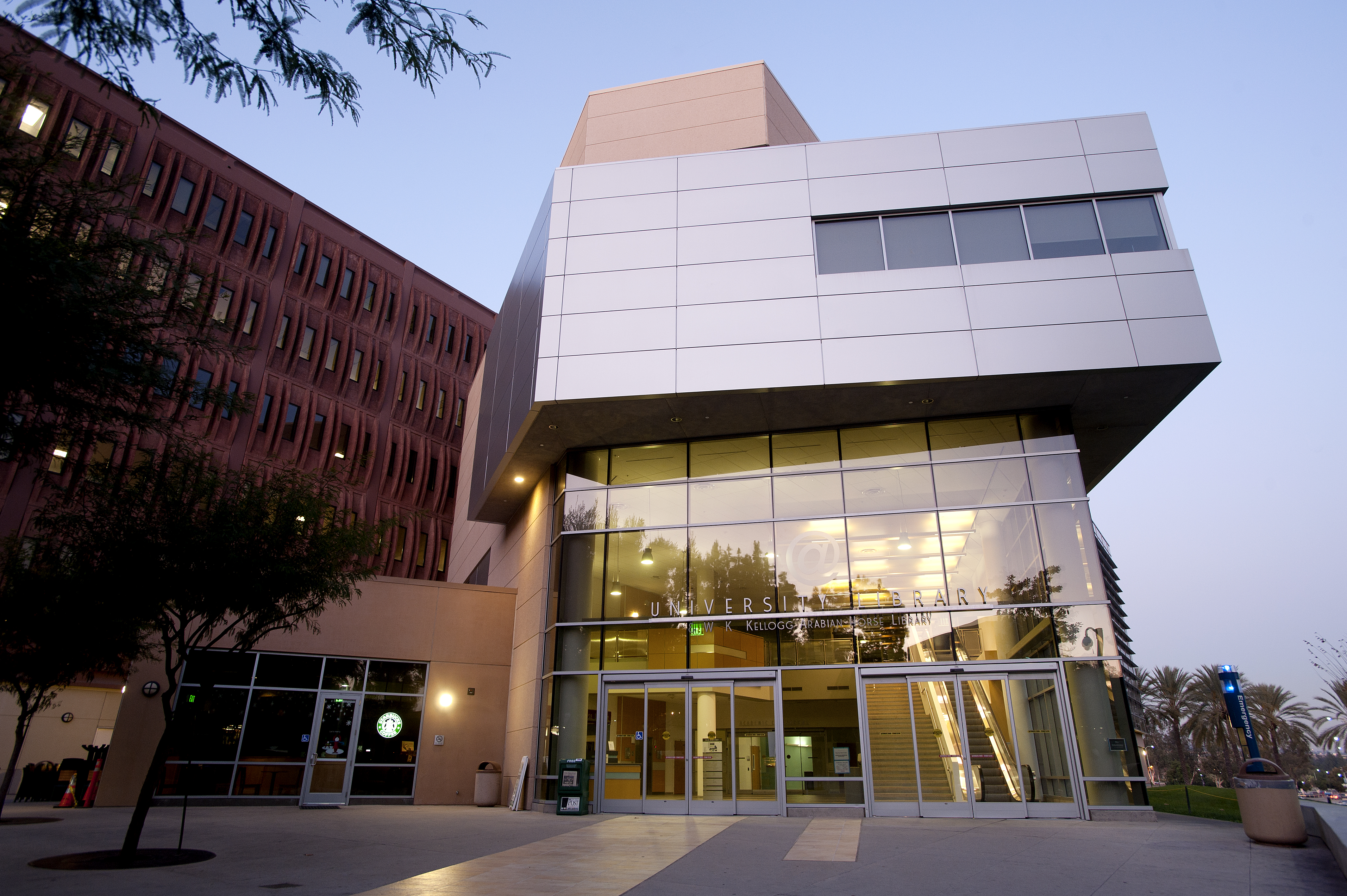 front of the library