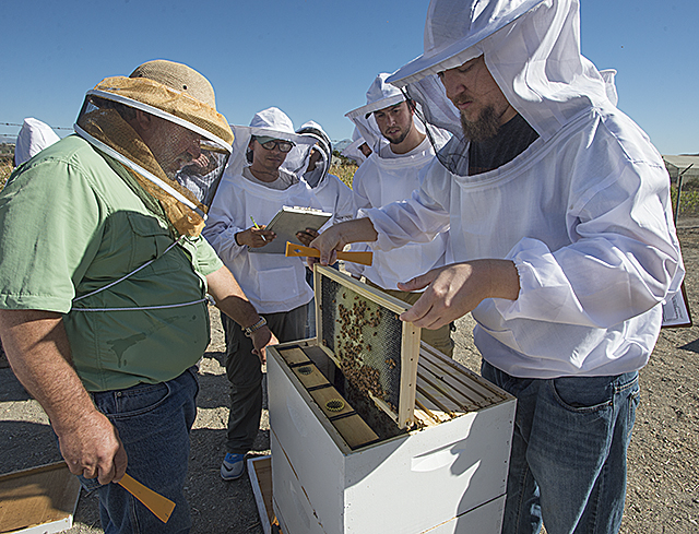 Instructor Mark Haag works with students in his Bee Science class at Cal Poly Pomona.
