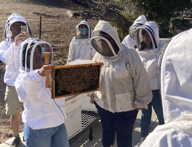 Advanced beekeeping student displays hive frame to beginning bee science students