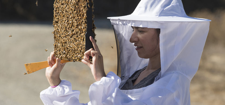 Plant Science student checks on bees during Bee Science class.