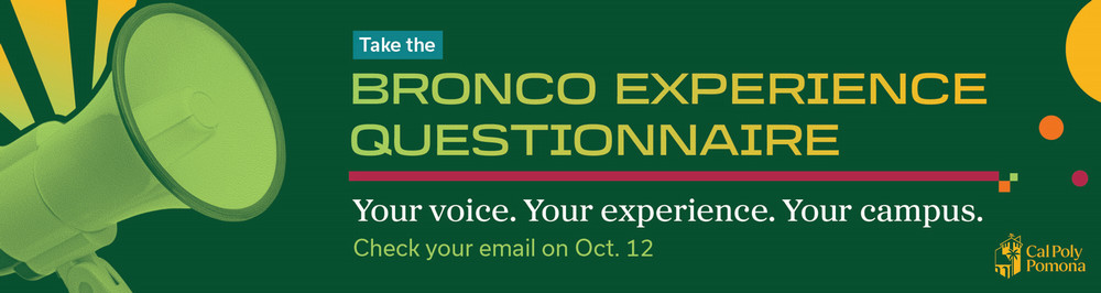 Bronco Marquee Questionnaire