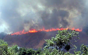 brush fire along a ridge