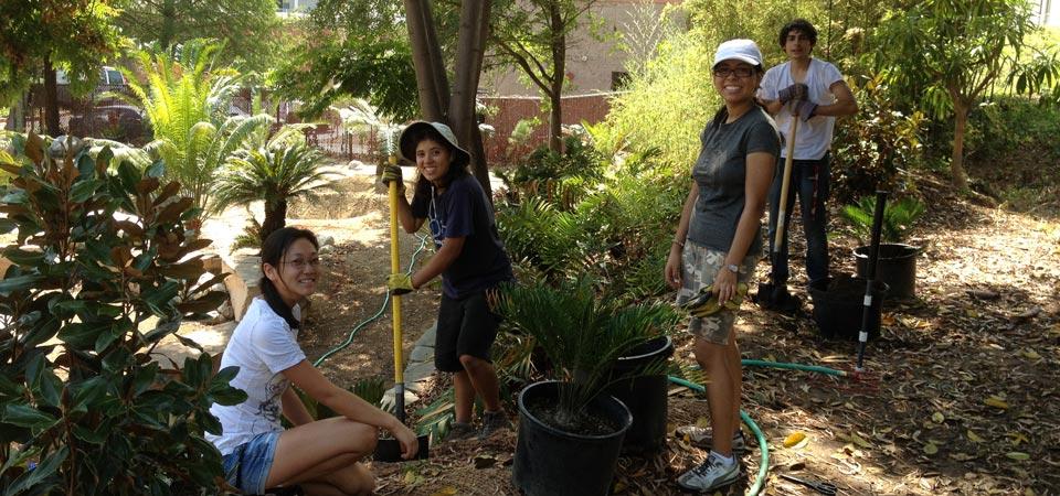 students posing on a landscaped area