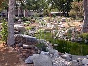 Ethnobotany Pond