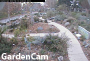 Garden Cam