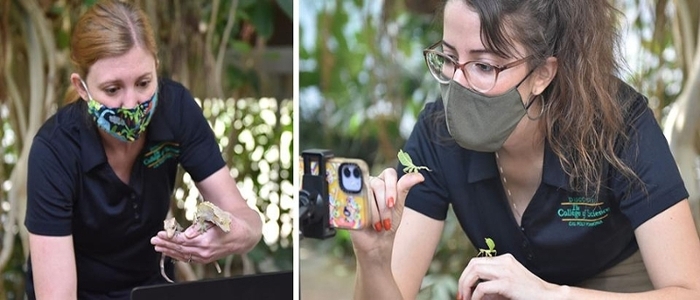 students holding leaf-like insects