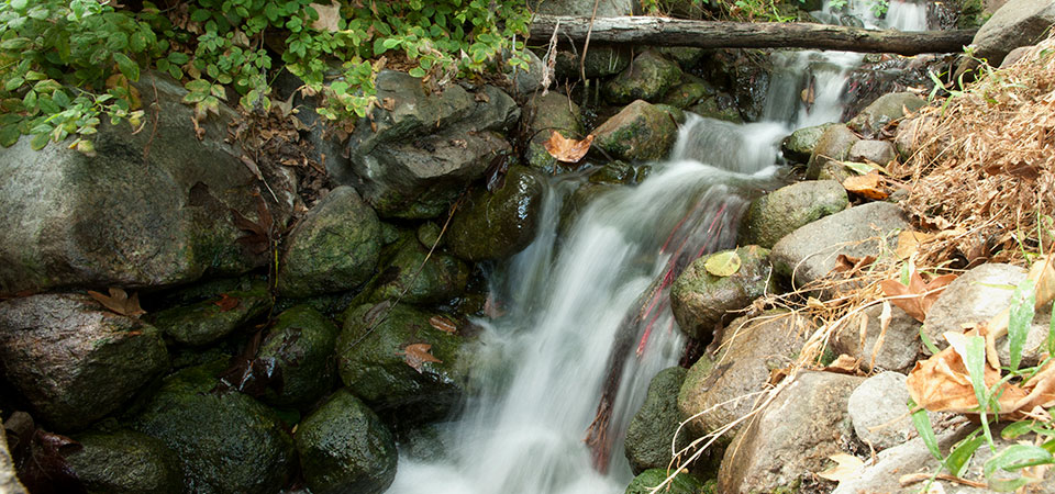 Ethnobbotany Learning Center Waterfall