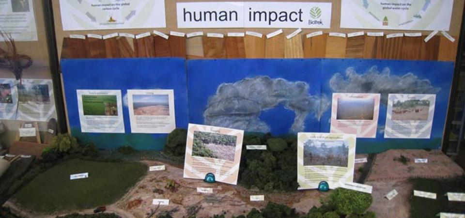 Human Impacts on the Rainforest