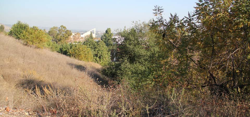 Overlook from Voorhis Ecological Reserve