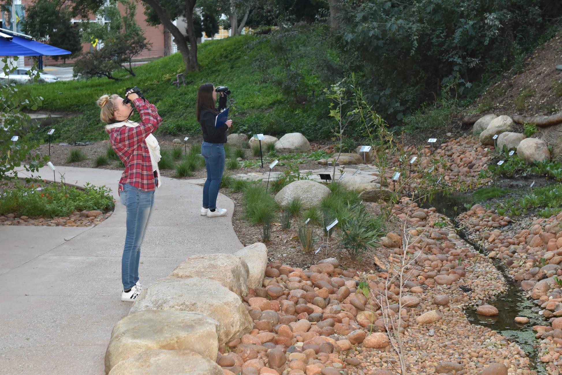 CPP students bird watching at Project Blue