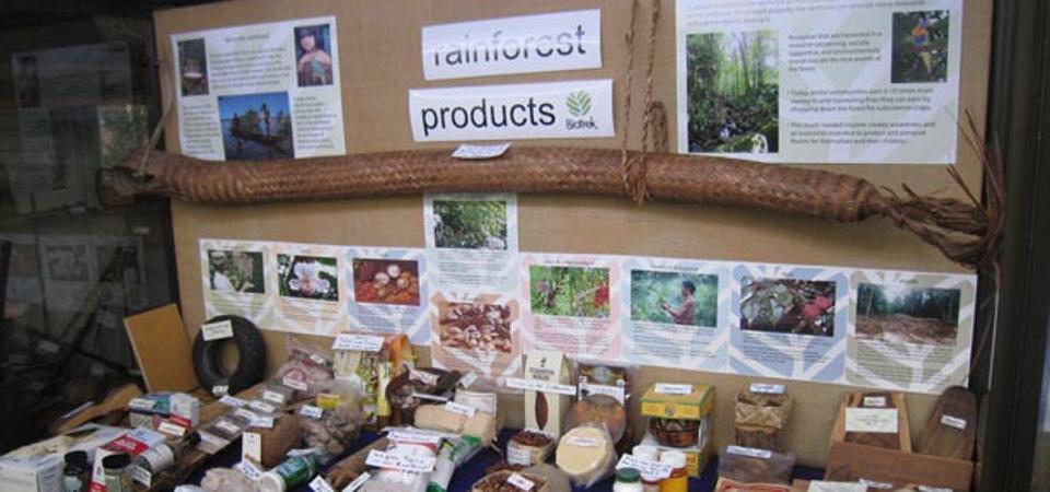 Commonly Used Products from the Rainforest