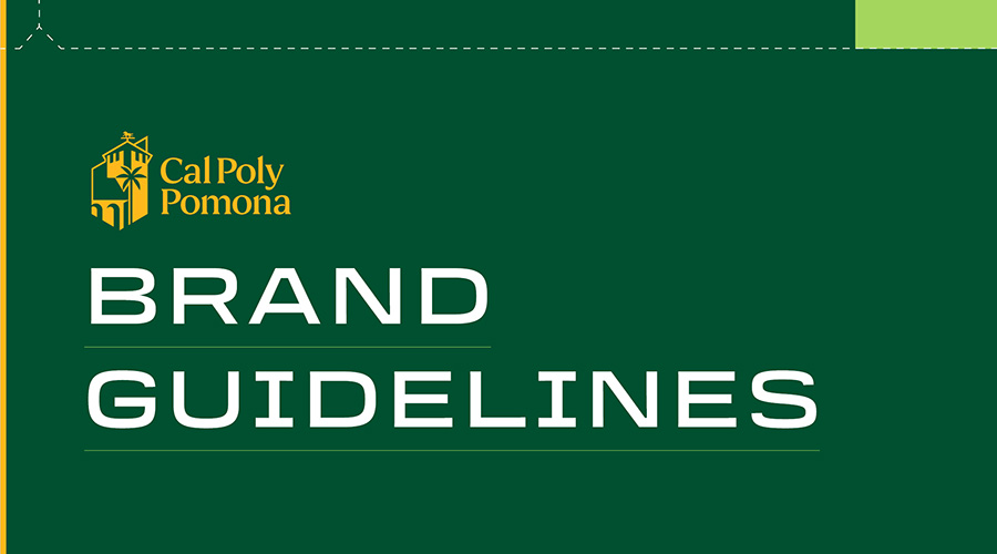 Brand Guidelines PowerPoint presentation 
