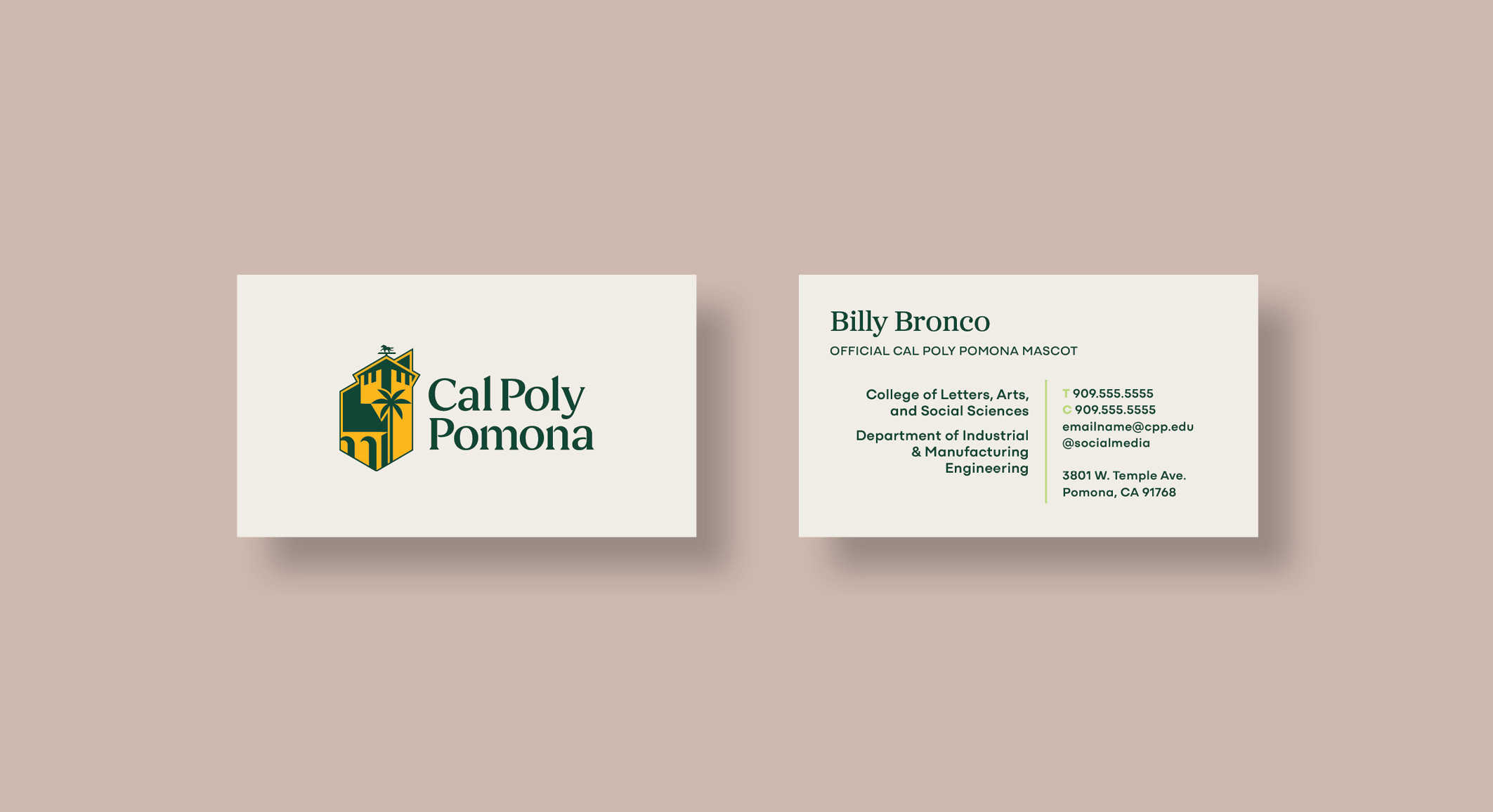 New branded business cards with name, college and address.