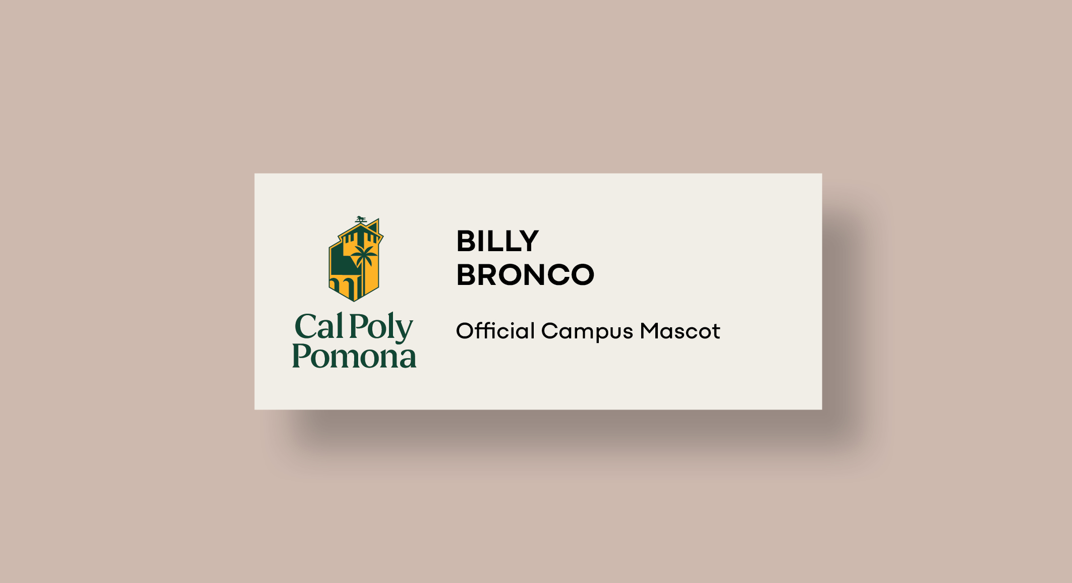 Billy Bronco, University Mascot