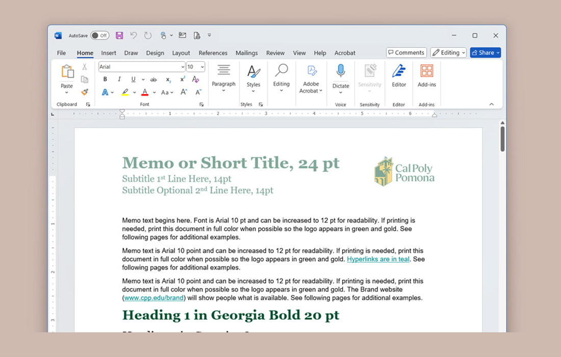 Word Doc Template