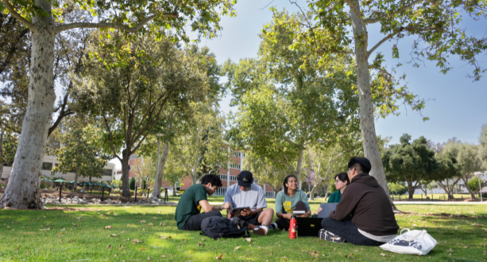 Students sitting on campus