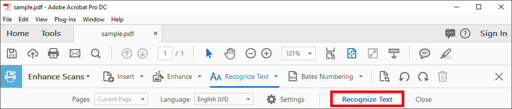 Recognize Text window with Recognize Text button