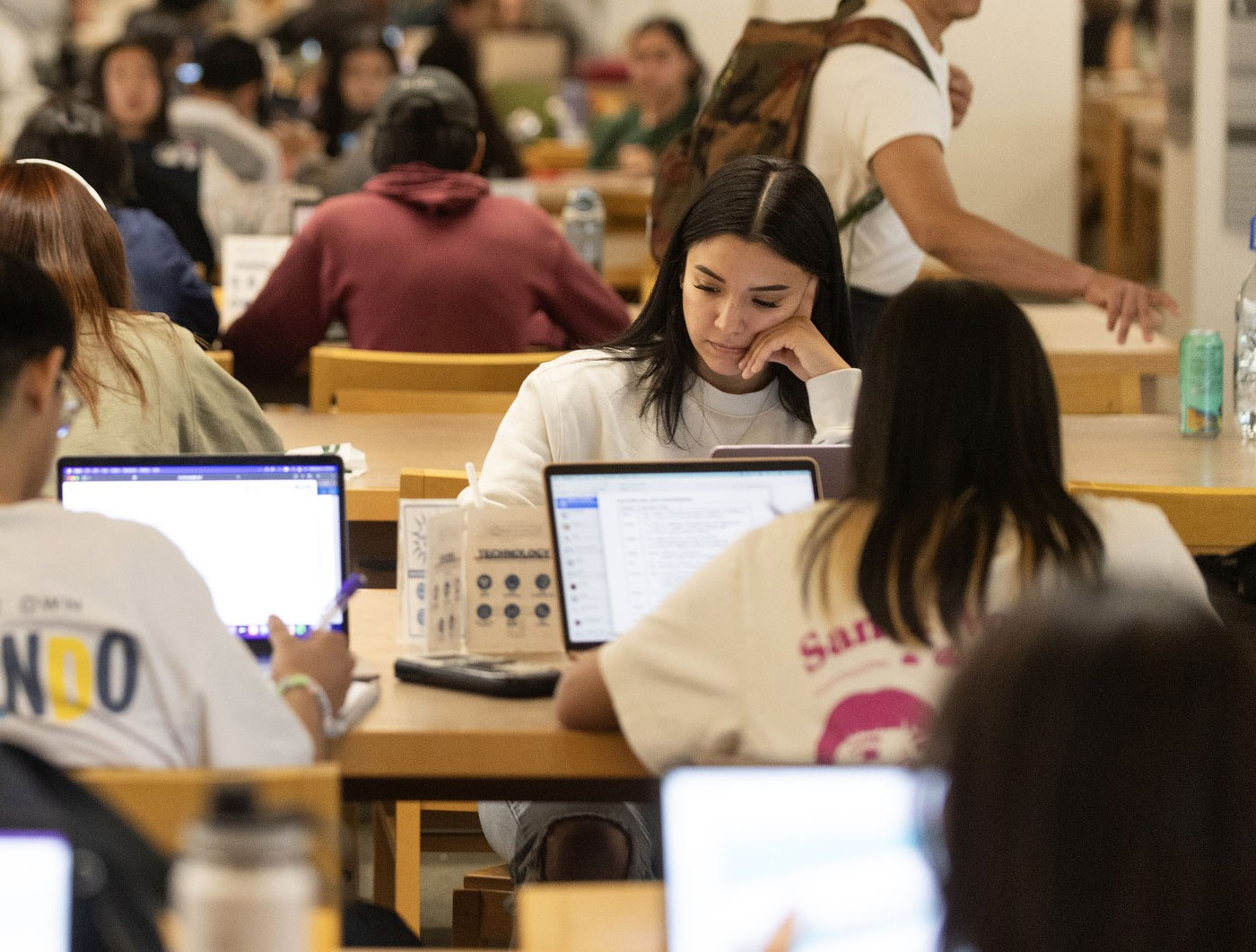 Students work on their laptops in a classroom