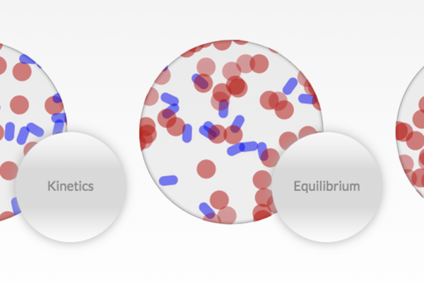 screenshot of Chemical Kinetics and Equilibrium