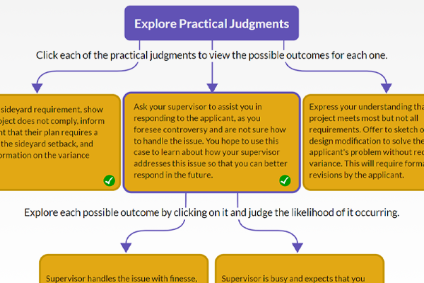 Screenshot of Practical Judgments in Planning Activity