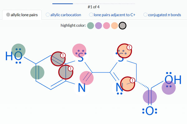 Screenshot of the Resonance Structures Activity