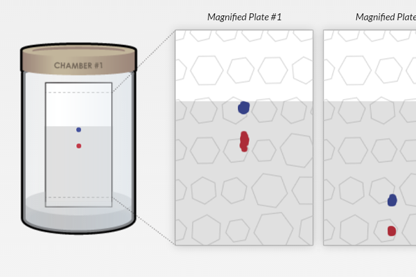 Screenshot of Thin Layer Chromatography (TLC)