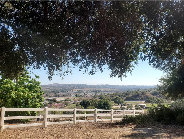 A landscape of the culinary garden at cal poly