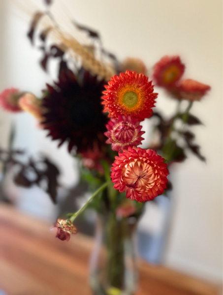 Flowers with background blurred