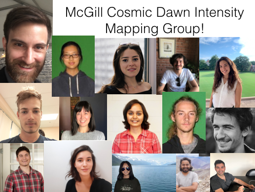 McGill Cosmic Dawn Intensity Mapping Group!