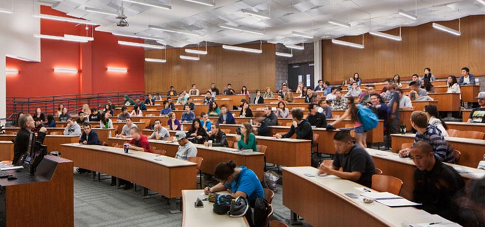 Professor lecturing in large hall