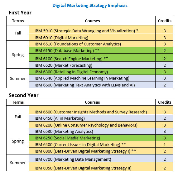 Digital Marketing Strategy Emphasis 2 Year