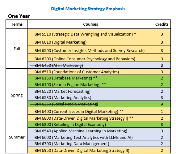 Digital Marketing Strategy Emphasis 1 Year