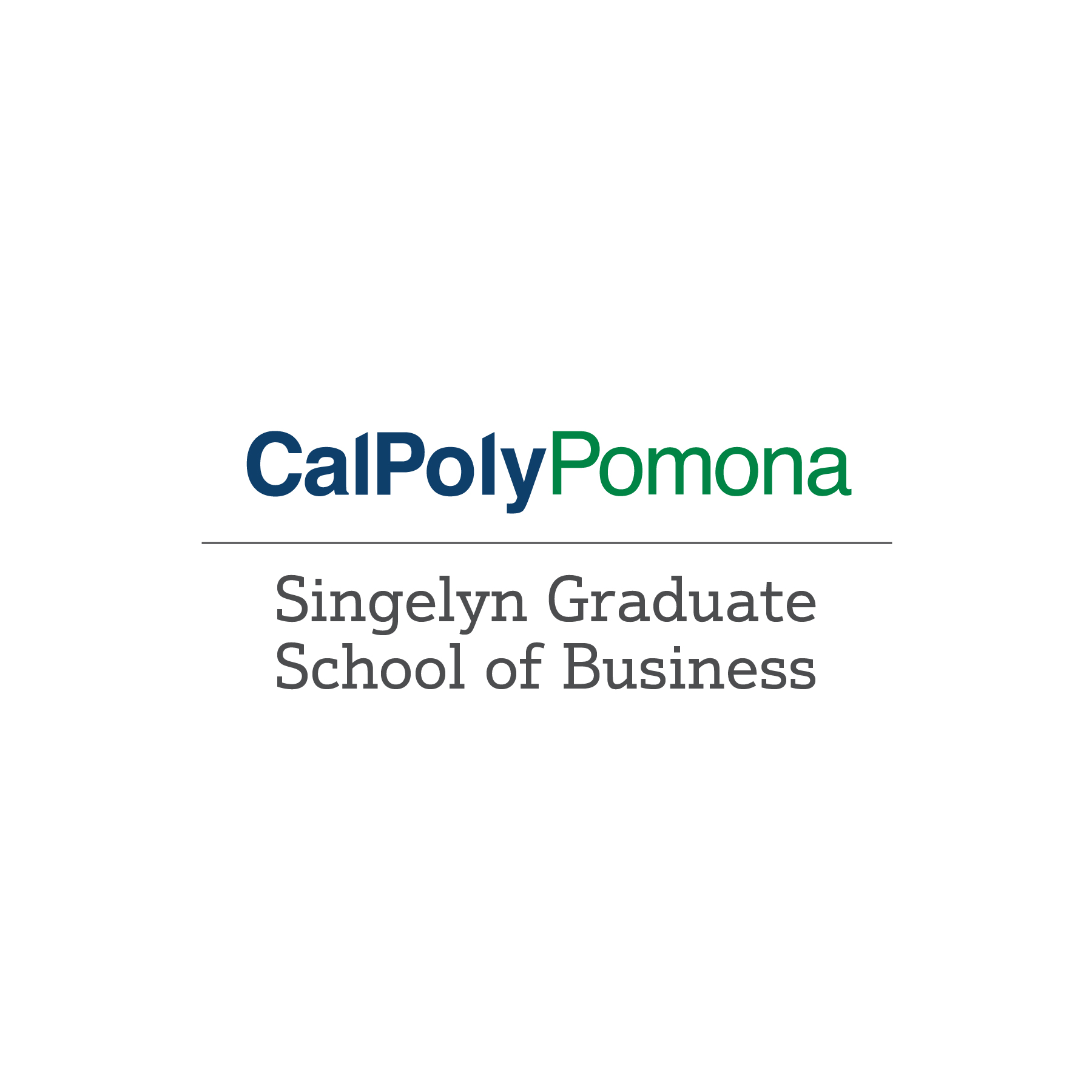 Singelyn Business School Logo