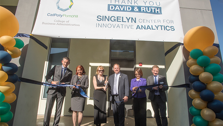 Singelyn Center for Innovative Analytics