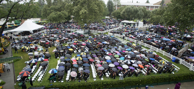 CBA Commencement 2019 image of University Quad with crowd covering with umbrellas