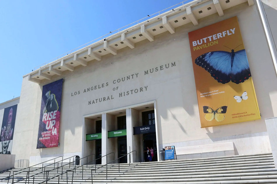 Front of the Los Angeles Natural History Museum building