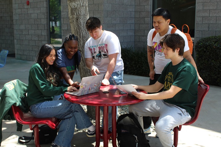 ScholarWorks Team Working together