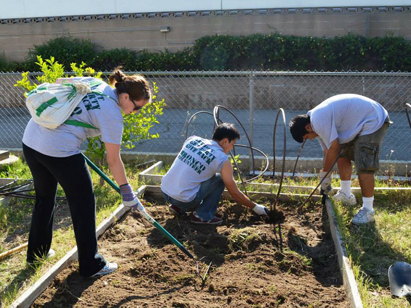 Students planting vegetables in a community garden