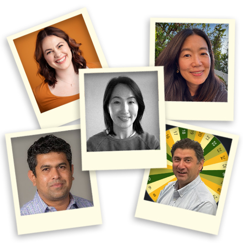 Collage of five faculty fellows in Polaroid frames