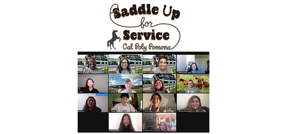 Screenshot of day 1 of Saddle Up For Service.