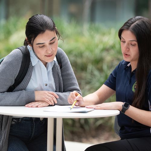 student getting advising from students
