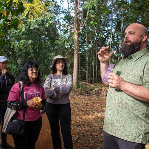Students kneeling on grass and planting plants