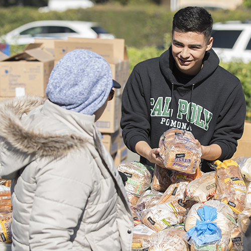 Biz Students Pantry Martinez4-Jason Martinez helps distribute bread during a Sowing Seeds For Life Food Pantry in La Verne